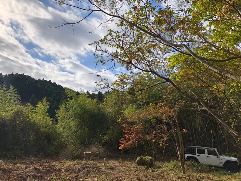 僕が購入した土地の写真